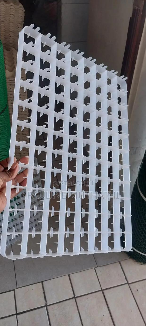 Incubator Setter Trays - thumbnail 2