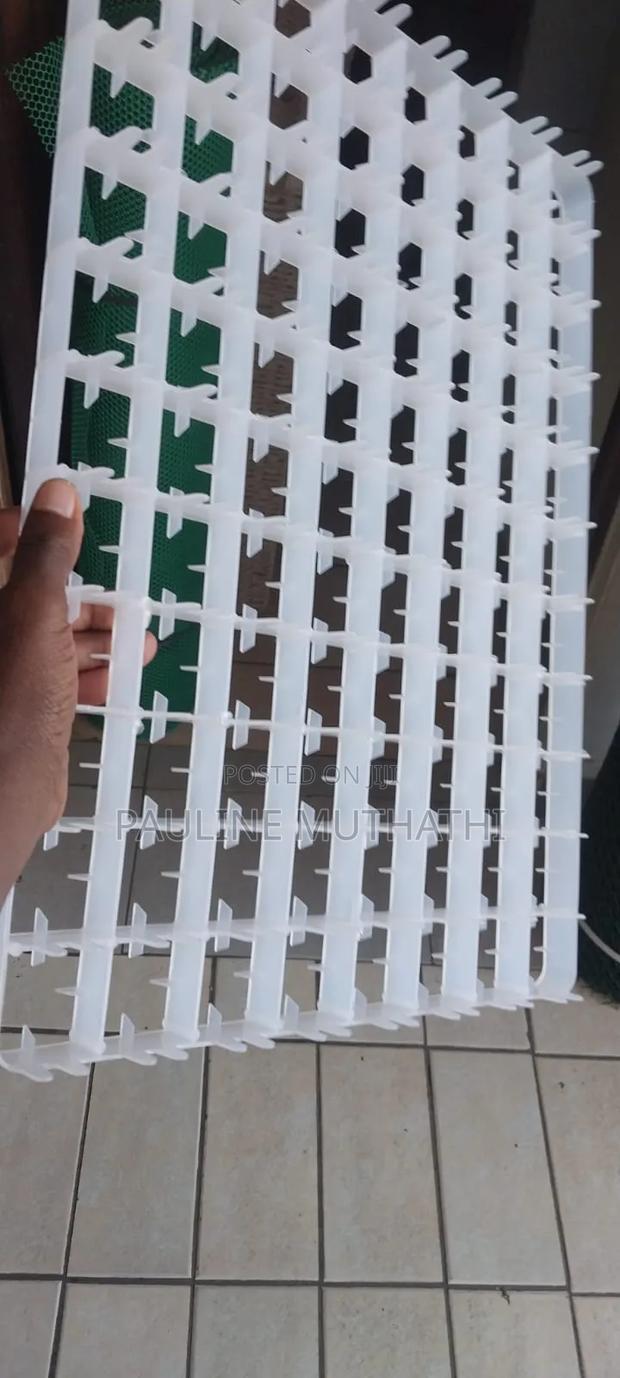 Incubator Setter Trays - thumbnail 3