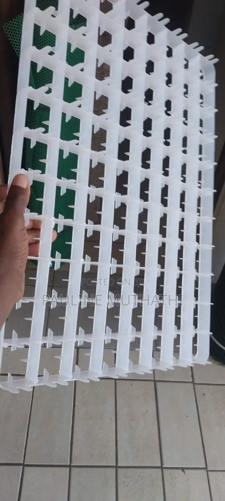 Incubator Setter Trays