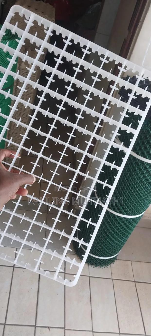 Incubator Setter Trays - thumbnail 4