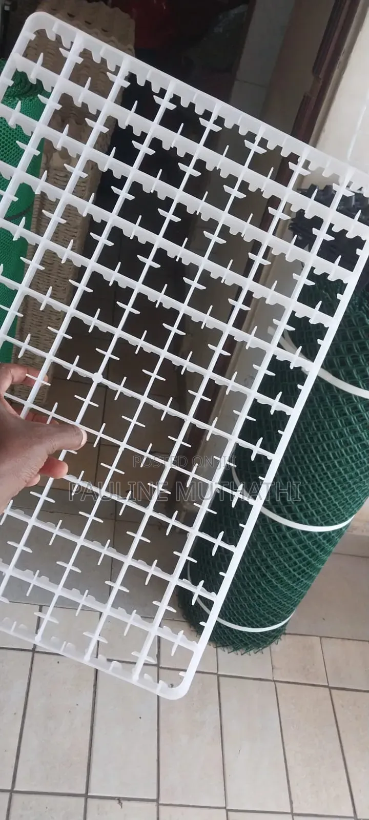 Incubator Setter Trays