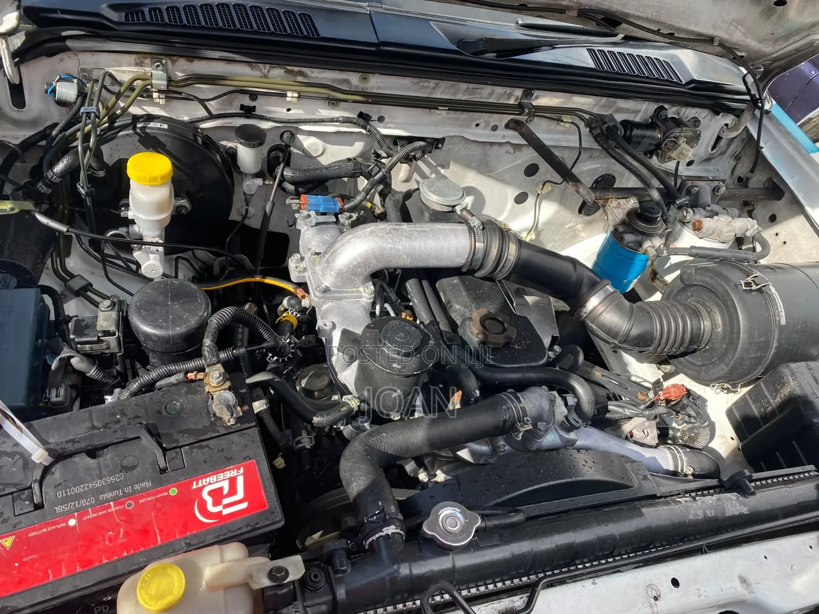 Nissan Hardbody 2011 White