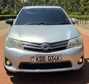 Toyota Axio 2014 Silver