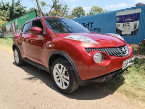 Nissan Juke 2013