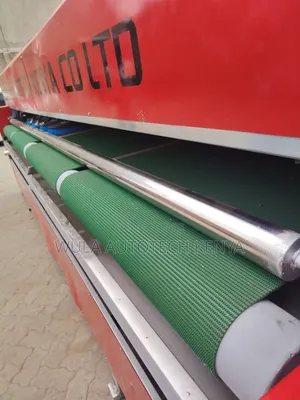 Adjustable Conveyor and Brush Movement Carpet Cleaner Machine Sunshine