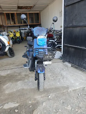 New Twinco Eagle 2025 Blue
