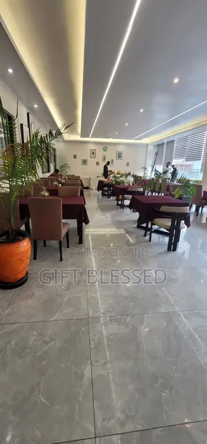 Elegant 1bedroom AIRBNB Kileleshhwa