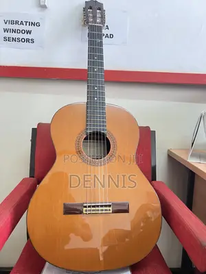 Ignacio M. Rozas Guitar