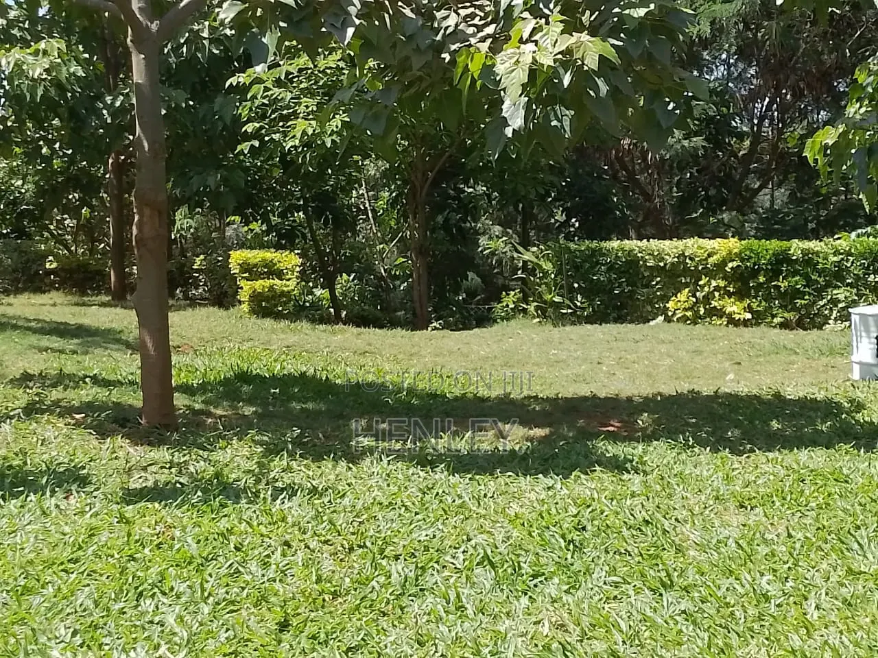 Hotel,guest House/ Restaurant and 1.25 Acres