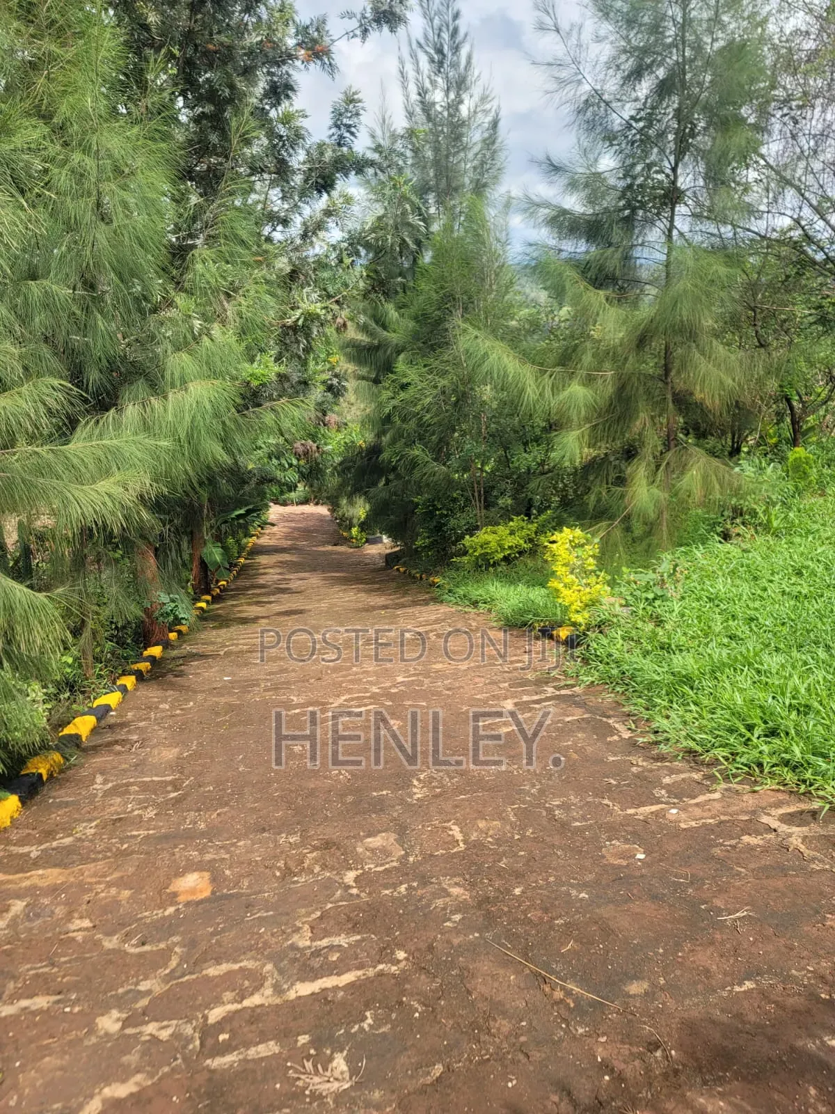 Hotel,guest House/ Restaurant and 1.25 Acres
