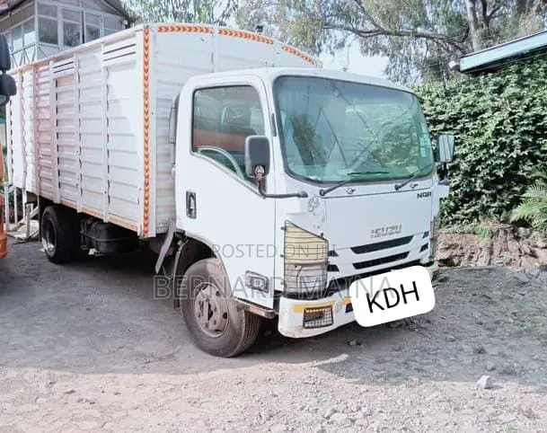 Isuzu NQR Truck