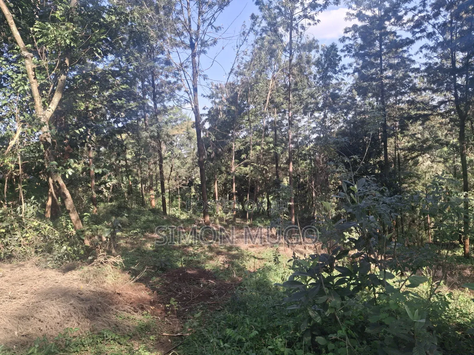 Mwimuto Prime Commercial/ Residential 50x100 Plot Freehold Title
