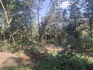 Mwimuto Prime Commercial/ Residential 50x100 Plot Freehold Title