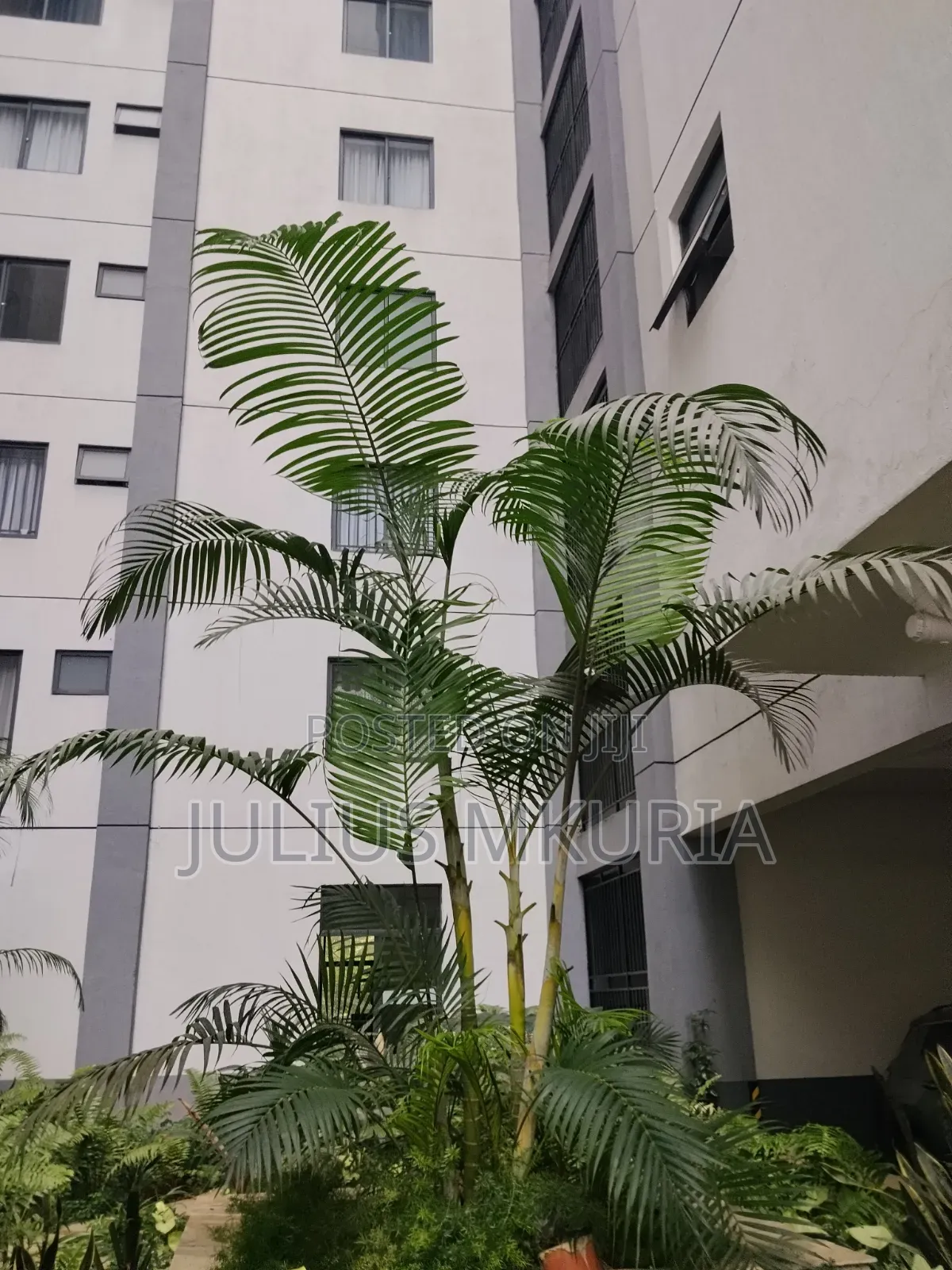 2bdrm Apartment in Winchester Garden, Riverside Estate for rent