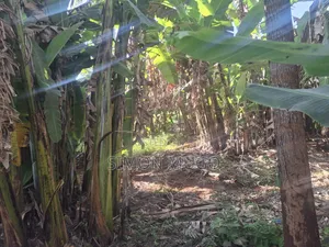 Mwimuto Prime Commercial/ Residential 50x100 Plot Freehold Title