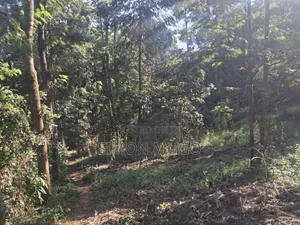 Mwimuto Prime Commercial/ Residential 50x100 Plot Freehold Title
