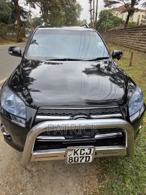 Toyota RAV4 2009 Black
