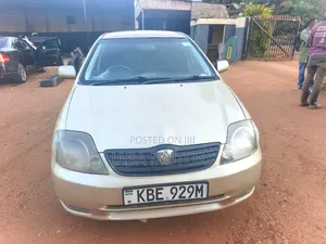 Toyota Allex 2003 Gray