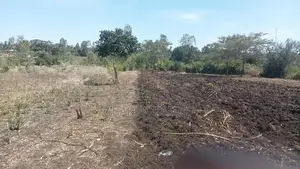 Prime Plots for Sale Near Hb Governor"s Ofiice