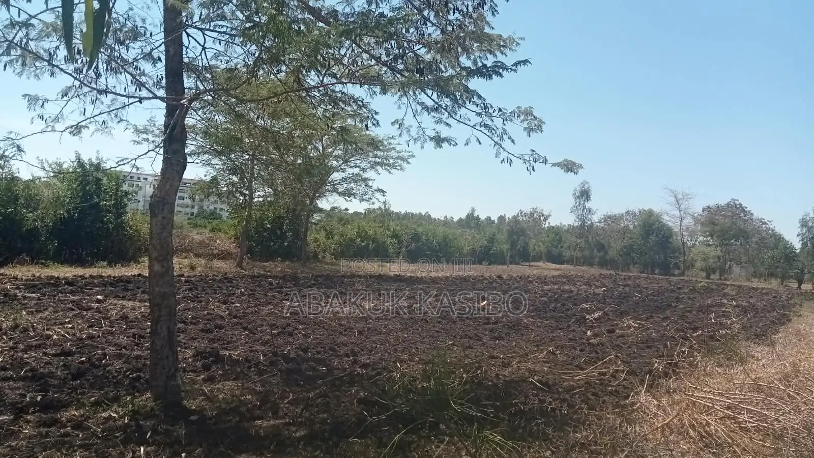 Prime Plots for Sale Near Hb Governor"s Ofiice