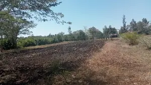 Prime Plots for Sale Near Hb Governor"s Ofiice