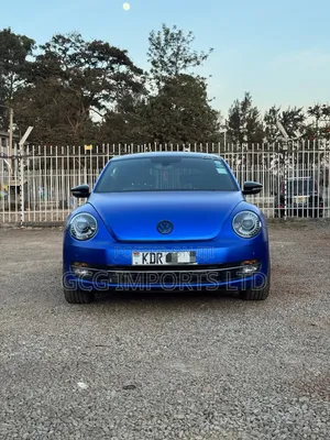 Volkswagen Beetle 2014 Blue