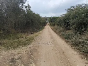 Machakos Junction Land 100 by 100