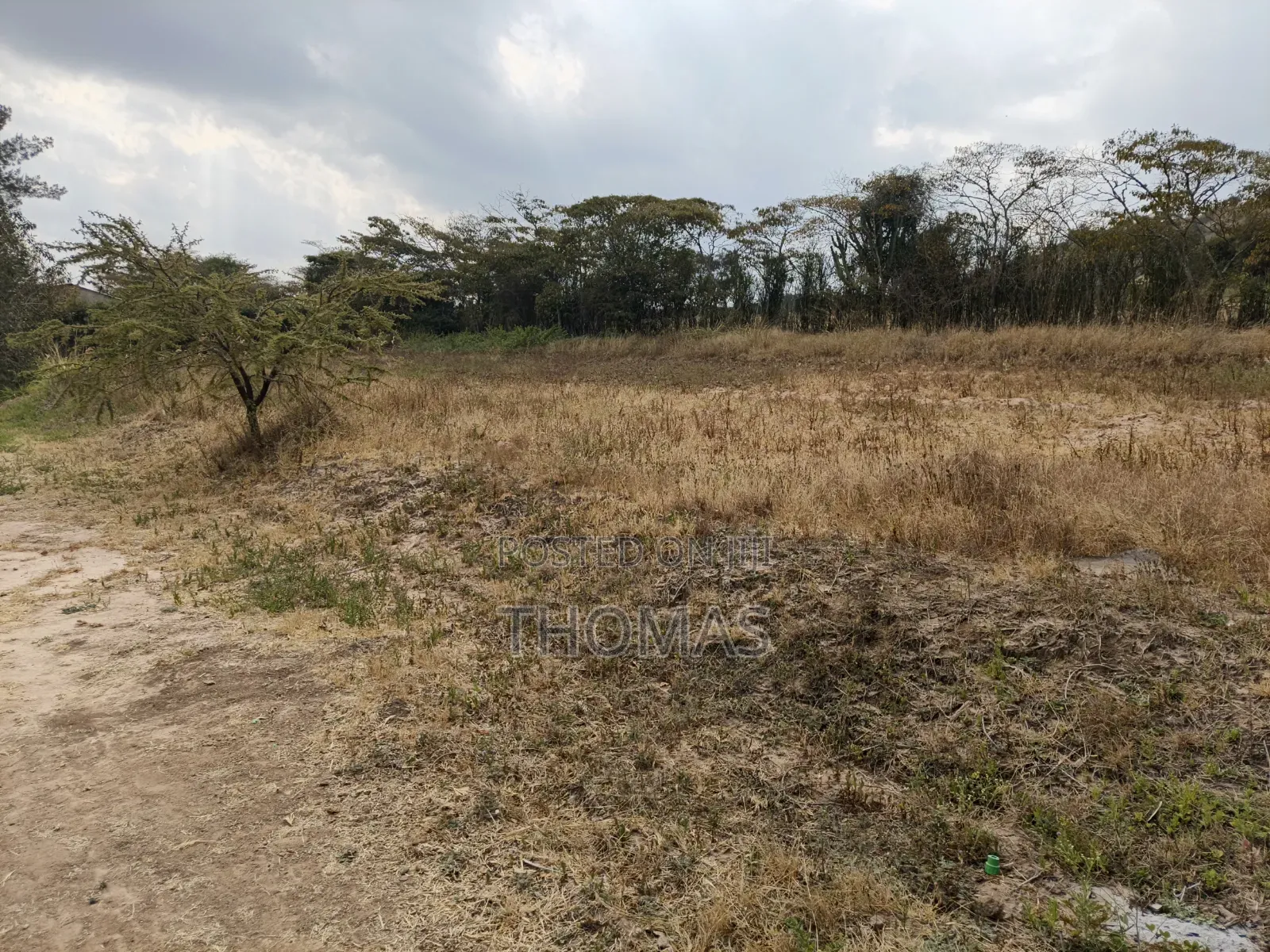 Machakos Junction Land 100 by 100