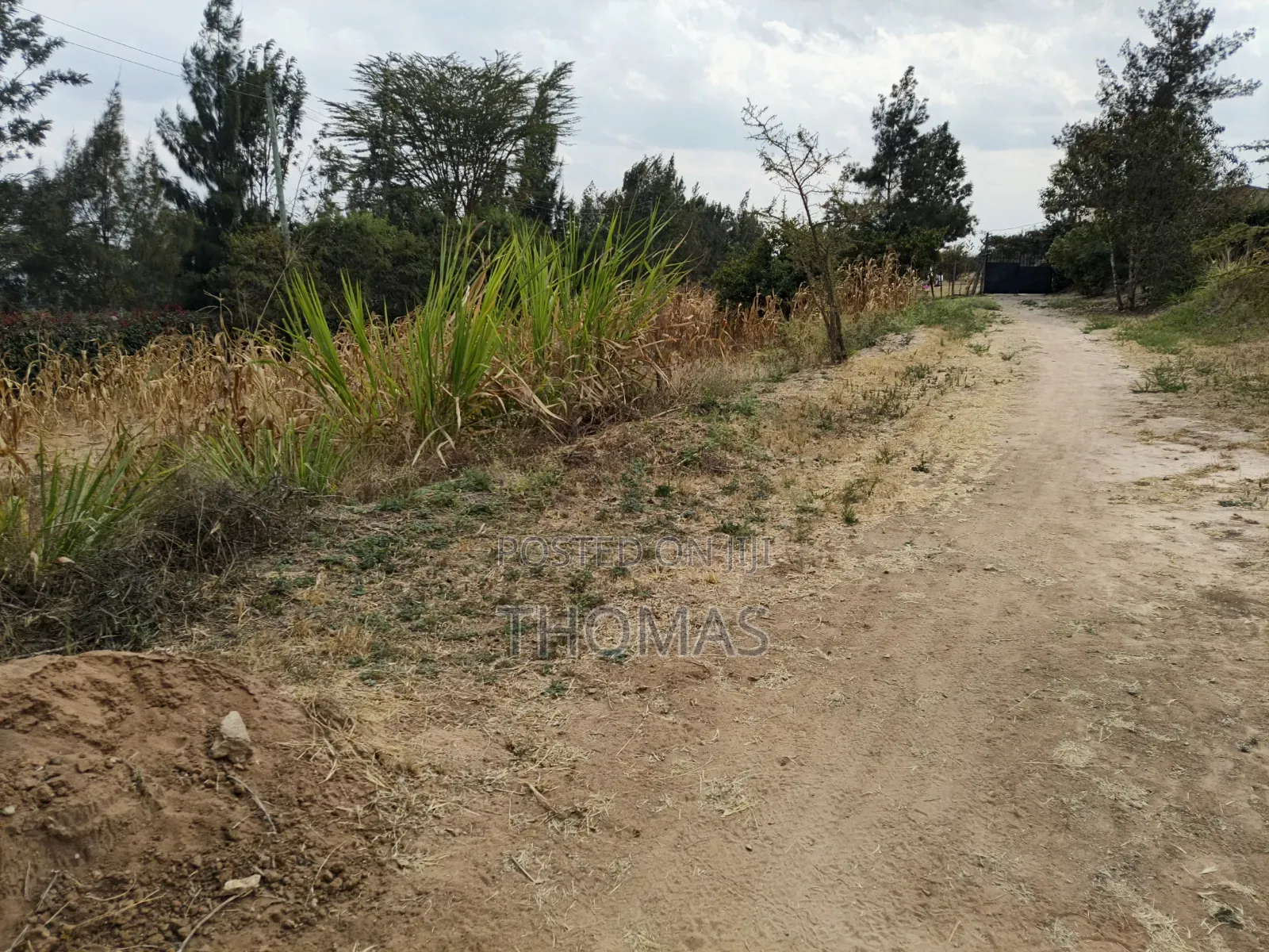 Machakos Junction Land 100 by 100