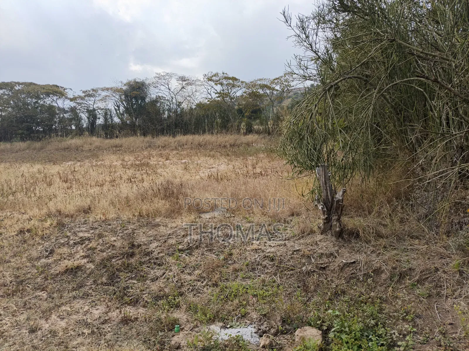 Machakos Junction Land 100 by 100