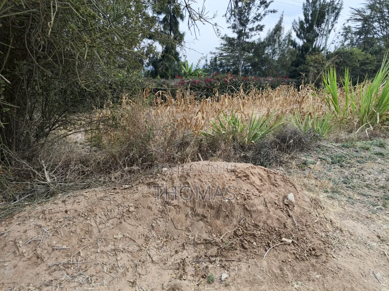Machakos Junction Land 100 by 100