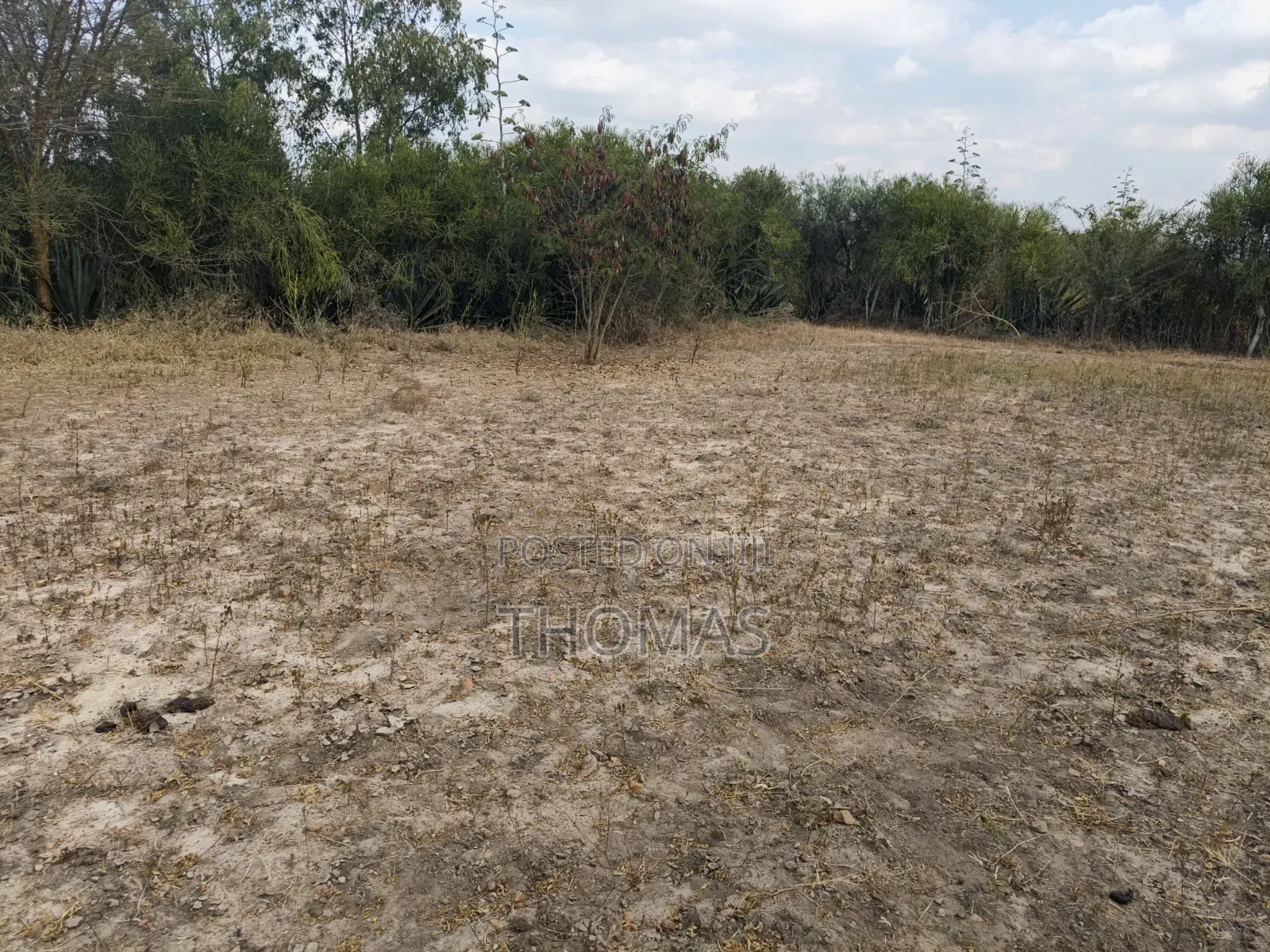 Machakos Junction Land 100 by 100
