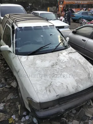 Carshield Windscreen