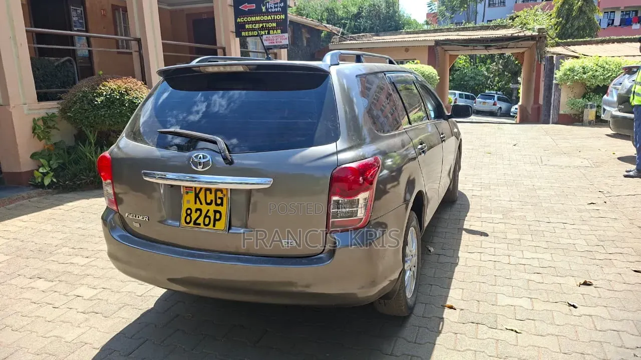 Toyota Corolla Fielder 2008 Burgundy