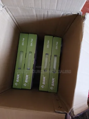 BNK DH-744 Professional Wireless Mic