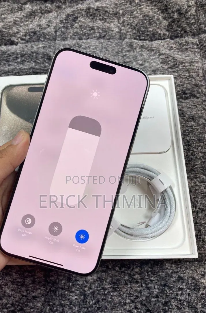 Apple iPhone 15 Pro Max 256 GB Silver
