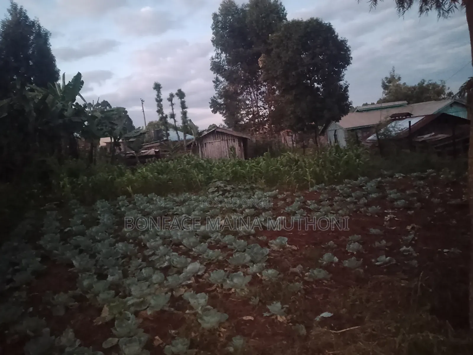 3754 Kabare Njiku