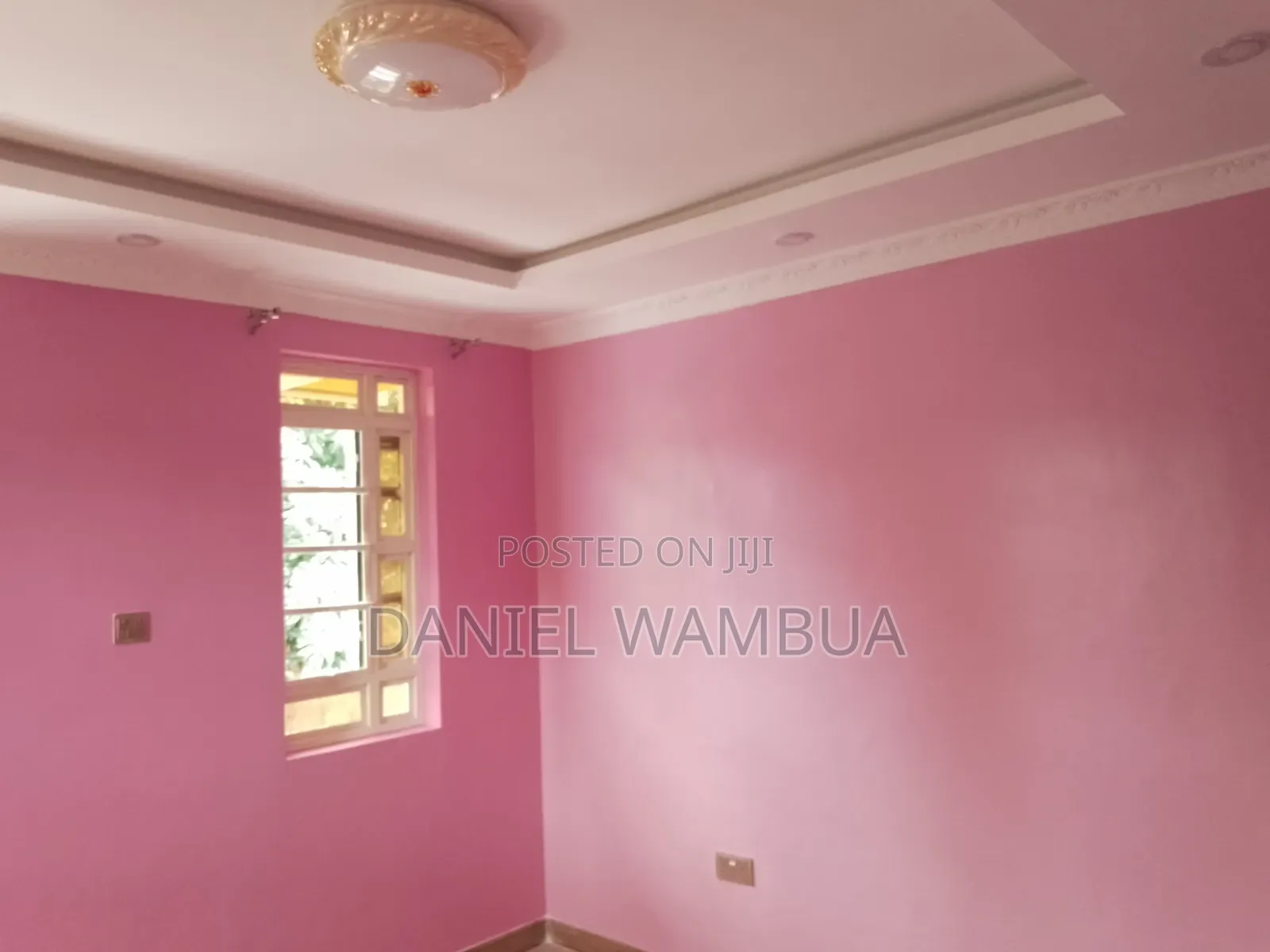 Interior and Exterior Painting