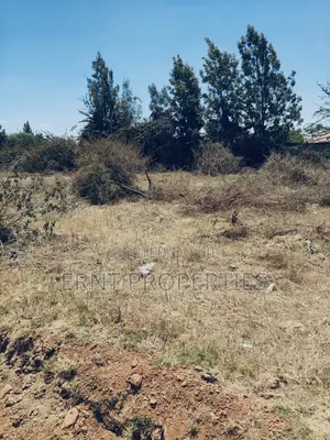 Kitengela Muigai Estate | Roadfront 50×100 @ KSH 2.7m
