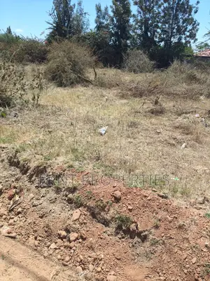 Kitengela Muigai Estate | Roadfront 50×100 @ KSH 2.7m