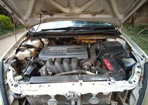 Toyota Allion 2004 White