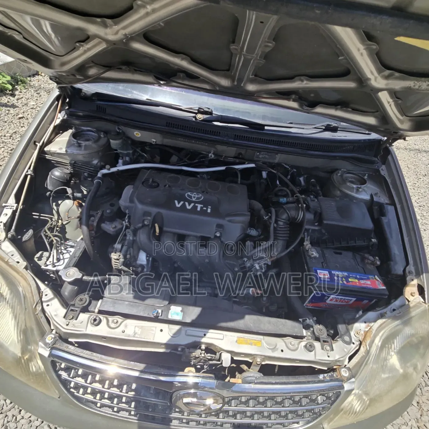 Toyota Corolla 2004 Beige
