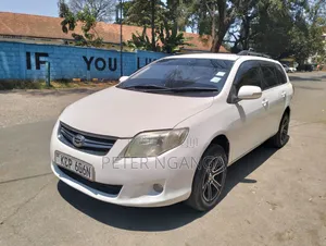 Toyota Corolla Fielder 2010 Off white