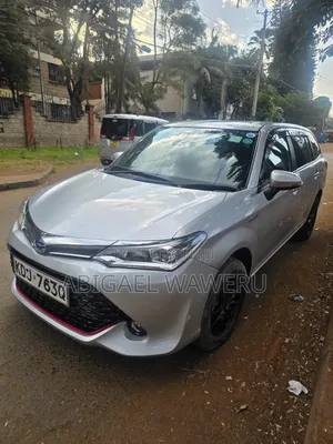 Toyota Corolla Fielder 2016 Silver