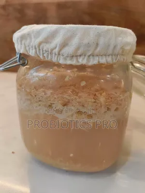 Gingerbug, Probiotic Drink