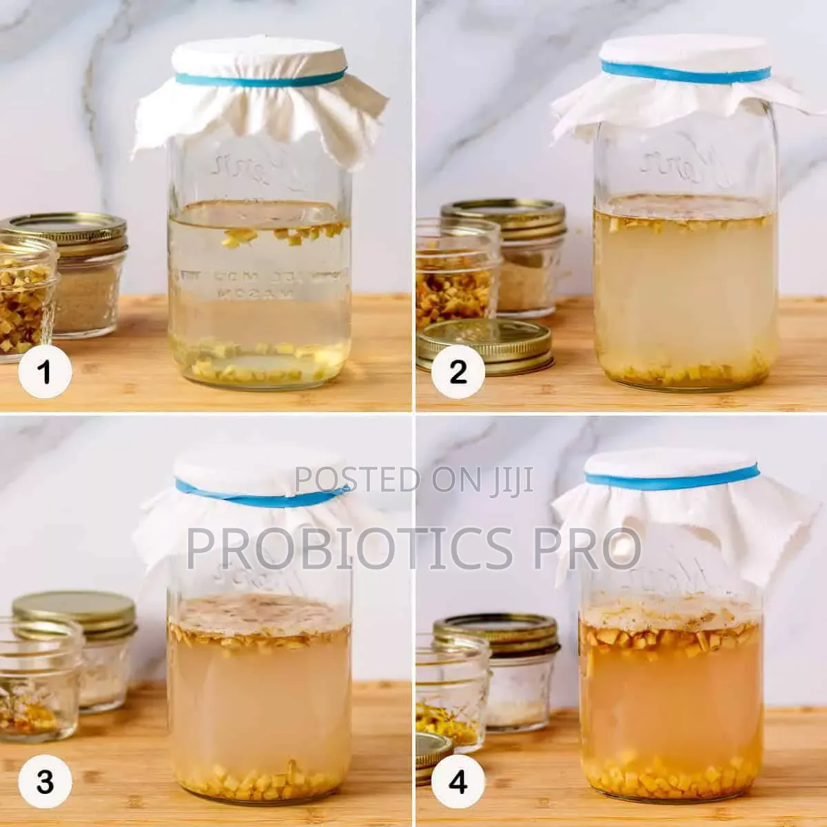 Gingerbug, Probiotic Drink