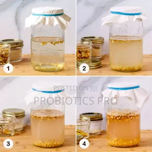 Gingerbug, Probiotic Drink