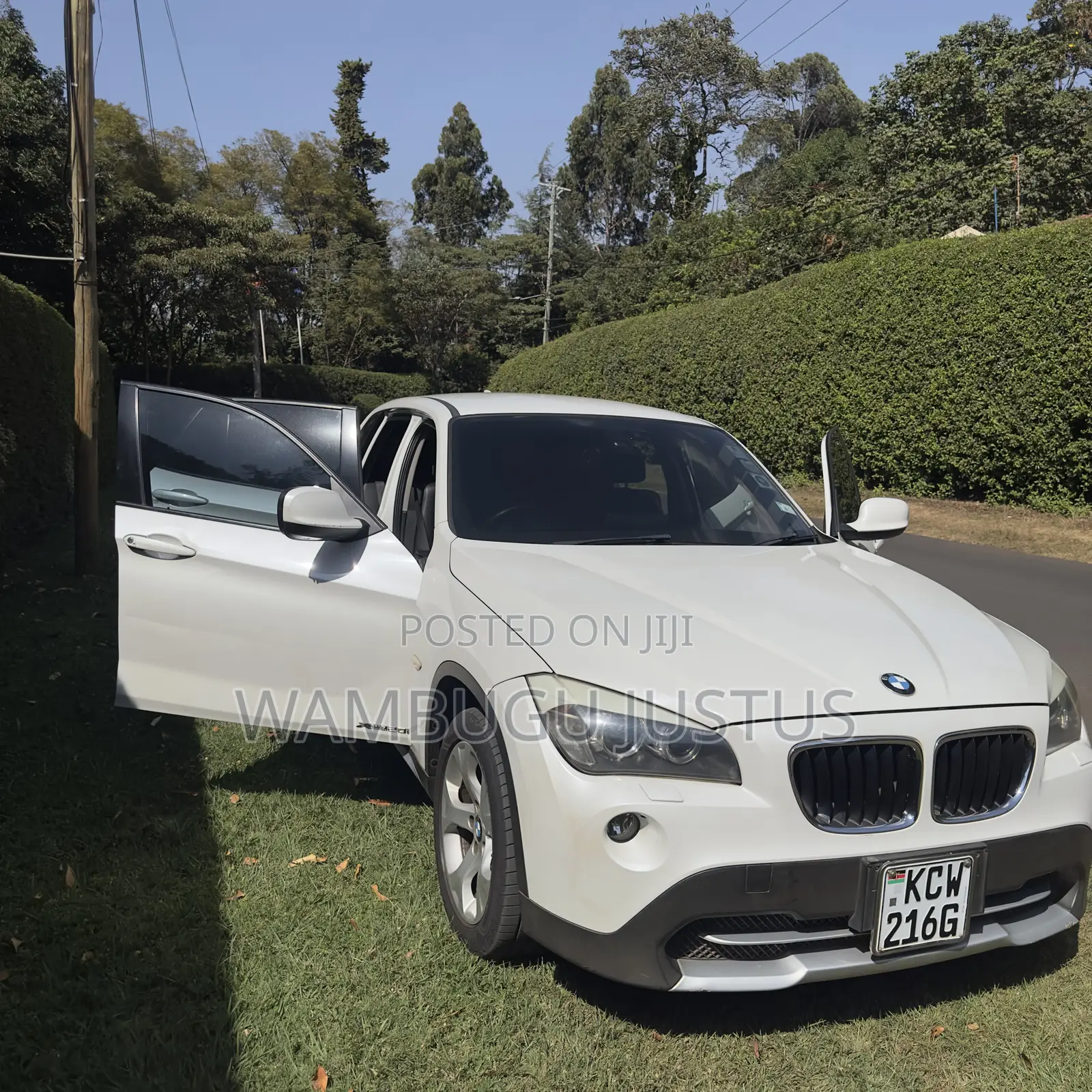 BMW X1 2012 Pearl
