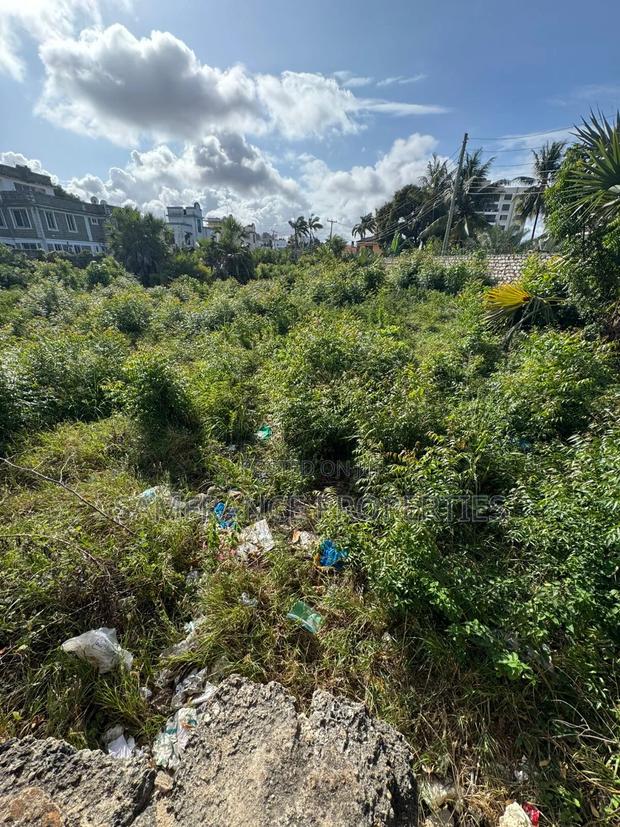 Nyali Beachroad Half Acre Plot on Sale - thumbnail 4