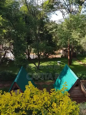 Monkey Bay